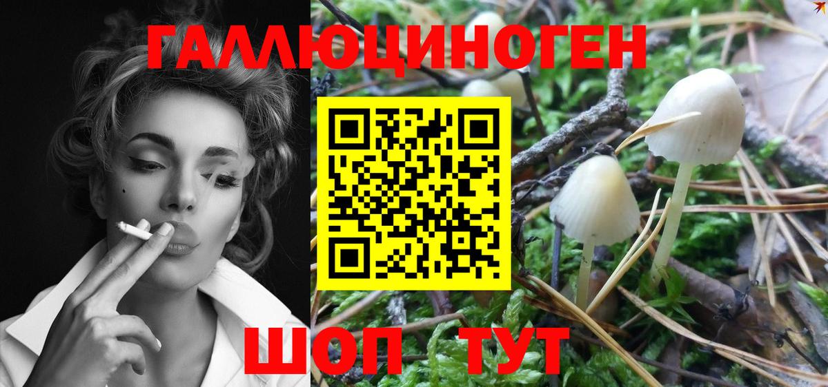 Гулькевичи  купить закладку  Псилоцибиновые грибы MAGIC MUSHROOMS  Вход с VPN  Галлюциногенные грибы GOLDEN TEACHER 